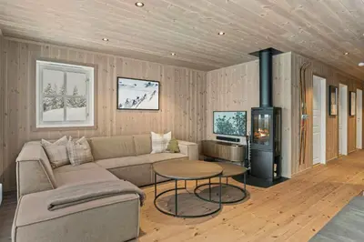 a living room with a couch and a wood stove at New Cabin With Ski-Inski-Out In Furutangen