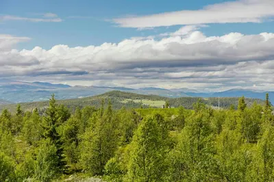 a view of a forest with mountains in the background at Cabin With Panoramic Views Of Jotunheimen in Gålå