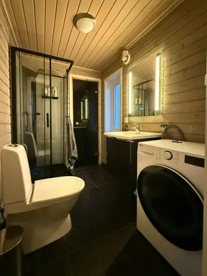 a bathroom with a toilet and a sink and a washing machine at Mountain Cabin With Sauna Atop Fageråsen in Trysil