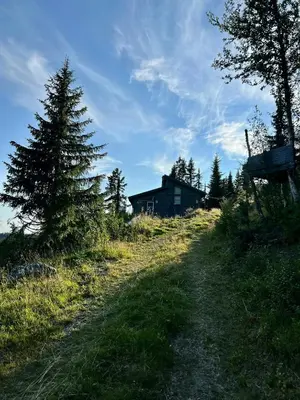 a house on the side of a hill with a tree at Unique Cabin And Freestanding Sauna With Views in Aurdal