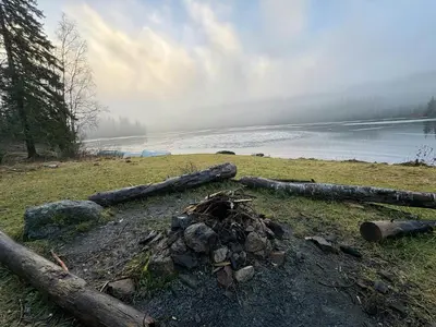 a pile of logs on a field next to a body of water at Architect-Designed Cabin By Lake With Sauna