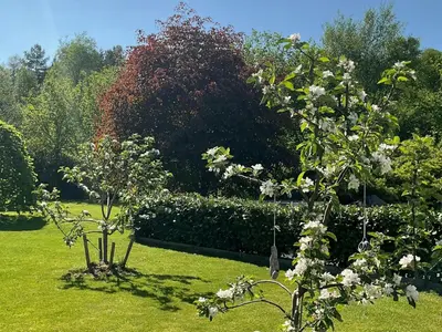 a garden with trees and flowers in the grass at House With 90 Metres Private Beach On Bømlo in Ervik