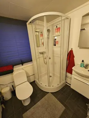 a bathroom with a shower and a toilet and a sink at Salhusvegen in Bergen