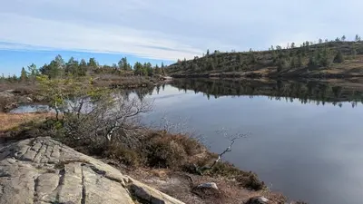 a large body of water with trees in the background at Fjellhytte med boblebad og utsikt på Blefjell in Flesberg