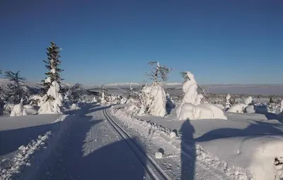 a snow covered road with snow covered trees and tracks at Gorgeous Home In Gålå With House A Mountain View in Gålå