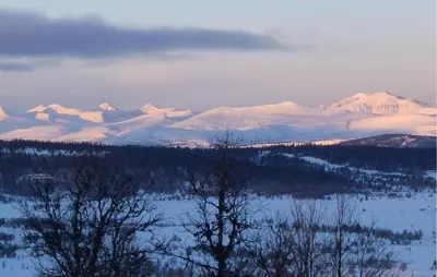 a snow covered mountain range with trees in the foreground at Gorgeous Home In Gålå With House A Mountain View in Gålå