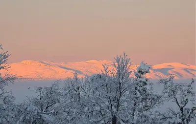 a snow covered mountain range with trees in the foreground at Gorgeous Home In Gålå With House A Mountain View in Gålå