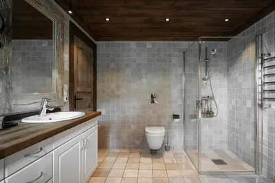 a bathroom with a shower and a sink and a toilet at Large Cabin For 20 By Norefjell Ski Resort in Noresund