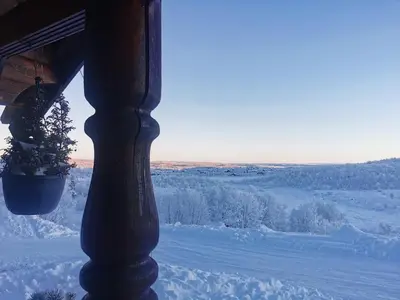 a plant in a pot on a porch in the snow at Leilighet på fjellet nær Geilo in Hol