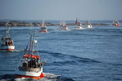 a group of boats in a body of water at Mausund- Øyperla i havet! Egen båtplass ved hytta! in Frøya