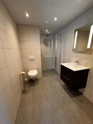a bathroom with a toilet and a sink and a shower at Kikut1010 Skurdalsvegen 107 in Hol