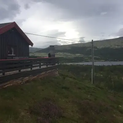 Live in the realm of the musk oxen on Dovrefjell