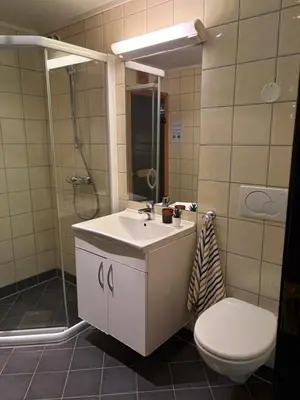a bathroom with a sink and a toilet at Cozy Couples or Family Retreat - Hemsedal in Hemsedal