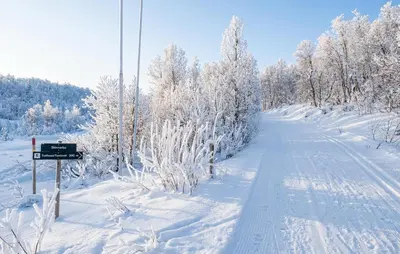 a snow covered road with snow covered trees and a sign at 2 Bedroom Lovely Apartment In Rjukan in Rjukan