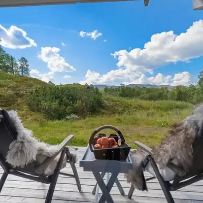 Leilighet på Hovden