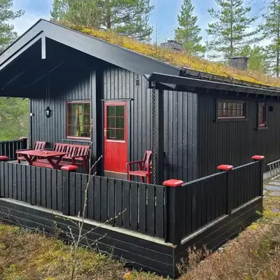 Nice Home In Rendalen With House A Panoramic View