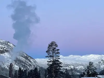 a tree in front of a snow covered mountain at Ski-in & out Totten Lodge apartment two bedrooms in Hemsedal