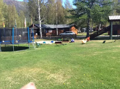 a yard with a house and chickens in the grass at Furuly Camping in Nordberg