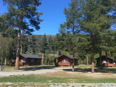 a group of cottages in the woods with trees at Furuly Camping in Nordberg