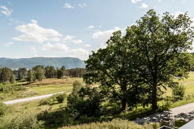 a tree on the side of a road at Bosdalhuset in Lavik