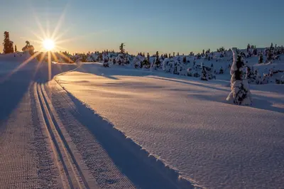 a road in the snow with the sun in the background at Thon Hotel Skeikampen in Svingvoll