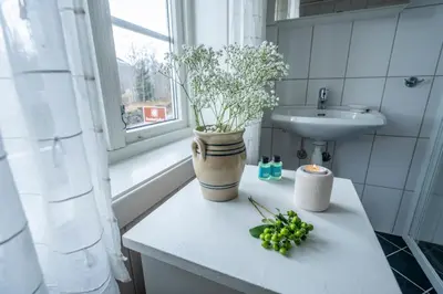 a bathroom with a sink and a vase with flowers on a counter at Dragsvik Fjordhotel in Balestrand