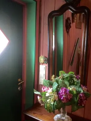 a vase of flowers on a table in front of a mirror at Annehelenes B&B in Bergen