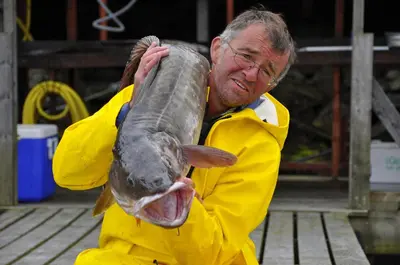 a man holding a large fish in his hands at Sotra Rorbusenter in Kåravika