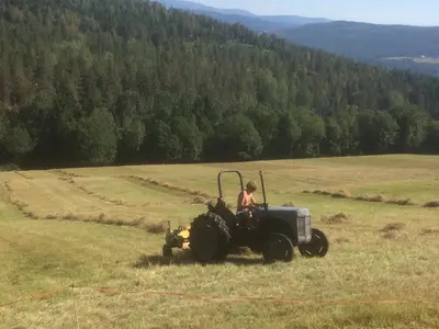 a person sitting on a tractor in a field at Tjonnas Farm Stay in Sauland