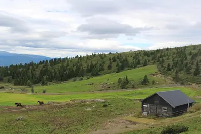 a barn on a grassy hill in a field at Sulseter Fjellstugu in Vinstra