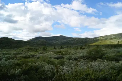 a large open field with mountains in the background at Sulseter Fjellstugu in Vinstra