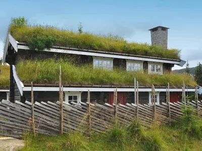 a house with a green roof with a grass at 8 person holiday home in Fåvang-By Traum in Tromsnes