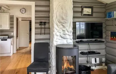 a living room with a fireplace and a tv at Sjusjøen Setergrend 4730 in Sjusjøen