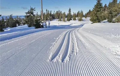 a snow covered road with tracks in the snow at Three-Bedroom Holiday Home In Sjusjoen in Sjusjøen