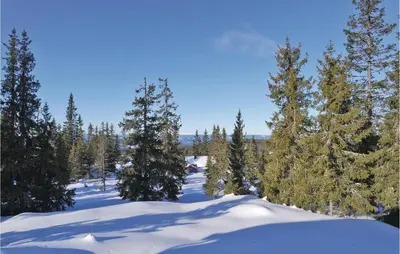 a group of trees in the snow at Three-Bedroom Holiday Home In Sjusjoen in Sjusjøen