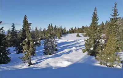 a snow covered hill with trees on it at Gorgeous Home In Sjusjøen With Sauna in Sjusjøen