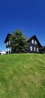 a black house on a grassy hill with a tree at Kylstad Bed and Breakfast in Kylstad