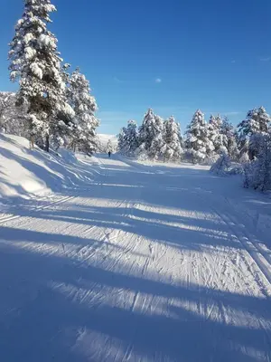 a snow covered road with trees in the distance at Voss Interlake - Villa in Skulestadmo