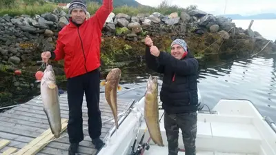two men on a boat with their catches of fish at Holiday Home Kvernesfjorden in Averoy