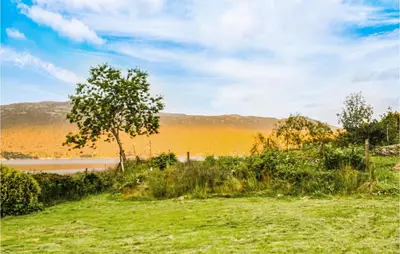 a tree in a field next to a body of water at Gorgeous Home In Førde I Hordaland in Førde
