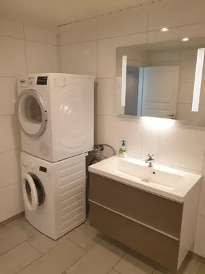 a bathroom with a washing machine and a sink at Mørkve Apartement in Myrkdalen