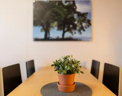 a potted plant sitting on top of a wooden table at Vikingskipet Hotell in Hamar