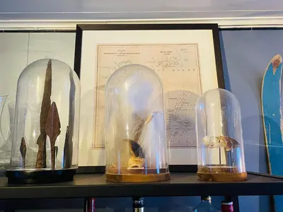 a shelf with three glass domes with a fish inside at Herangtunet Mountain Lodge in Heggenes