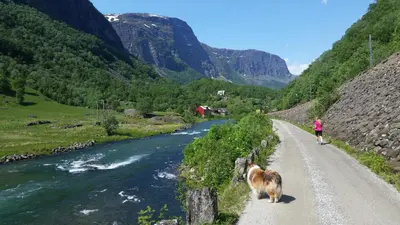 a woman and her dog walking down a road next to a river at Steinshølen Holiday Home in Flåm