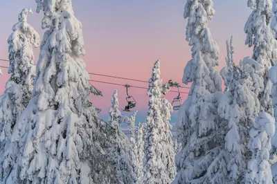 a person on a ski lift with snow covered trees at Trysil Hotel in Trysil