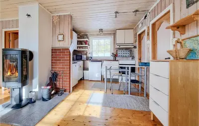 a kitchen with a fireplace and a stove at Amazing Home In Sjusjøen With Wifi in Sjusjøen