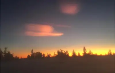 a sunset with a group of trees in a field at Nordseter Sportell 271 in Lillehammer