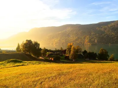 a field of grass with a lake and mountains in the background at Sygard Storrvik in Storrvik