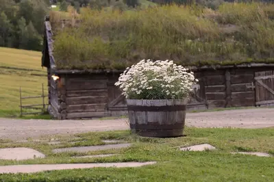 a pot of flowers sitting in the grass next to a building at Sygard Storrvik in Storrvik