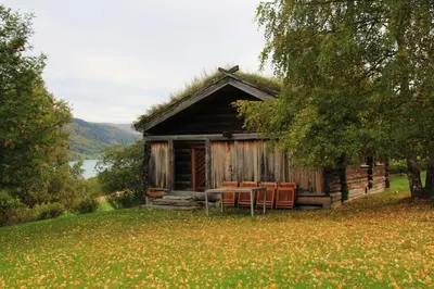 a log cabin with a grass roof on a field at Sygard Storrvik in Storrvik